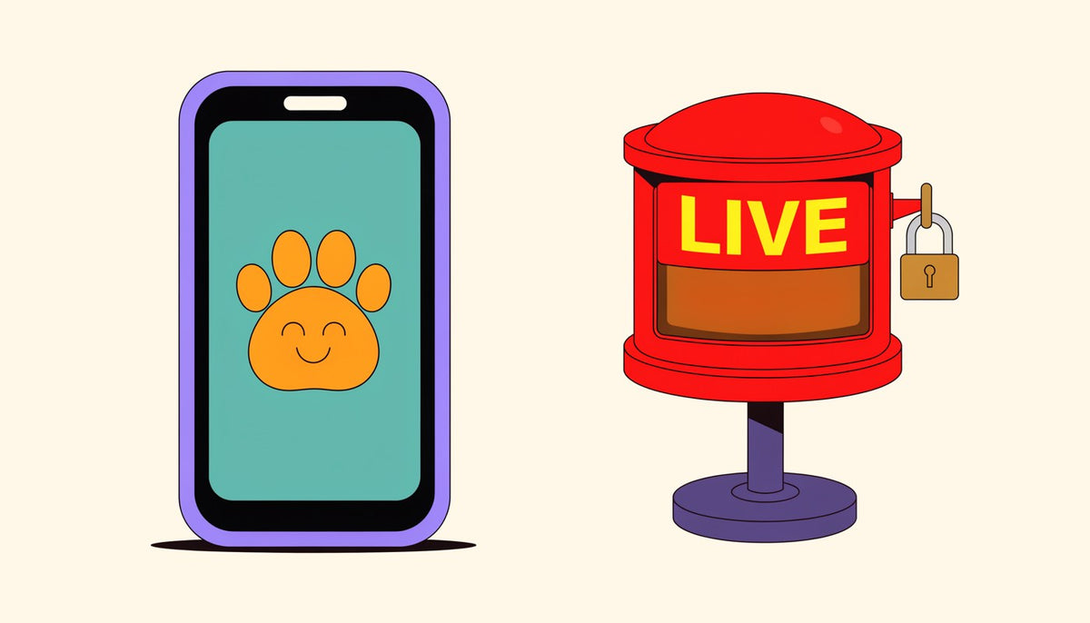the bear app got sold and lost its live streams in the same 24 hours. the new owners say: not us. be so for real.